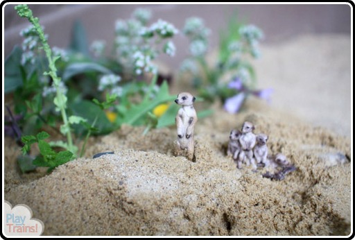 Meerkat Small World: a Child-Led Literacy Adventure | Play Trains! guest posting for Housing a Forest.