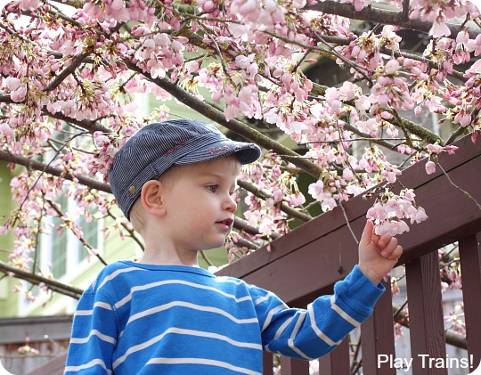 Cherry Blossom Tunnel: Outdoor Spring Activity for Kids from Play Trains! A fun combination of gross motor and sensory play.