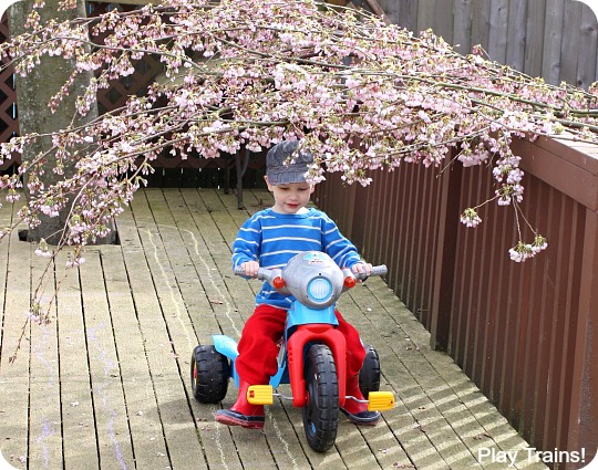 Cherry Blossom Tunnel: Outdoor Spring Activity for Kids from Play Trains! A fun combination of gross motor and sensory play.