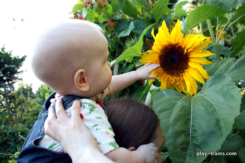 Waterproof Play Pictures: Flower Train @ Play Trains! How to make photo play pieces for water play and messy play, plus a little parenting wisdom gained along the way.