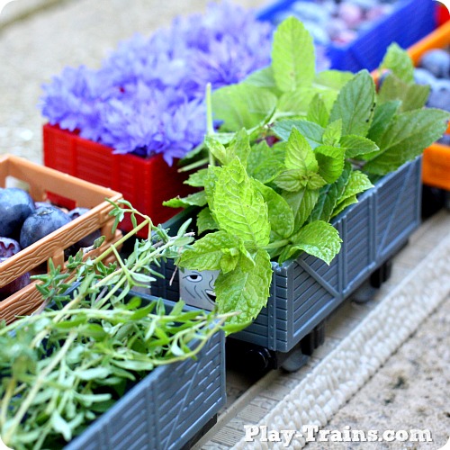 Toy Train Freight from Nature: Late Summer @ Play Trains! http://play-trains.com/