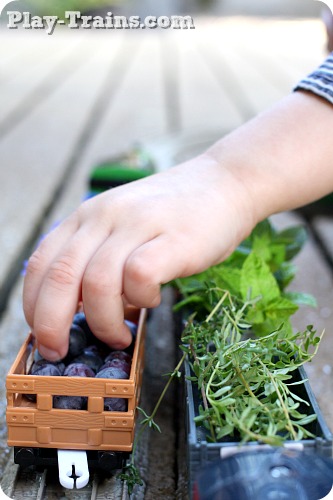 Toy Train Freight from Nature: Late Summer @ Play Trains! http://play-trains.com/