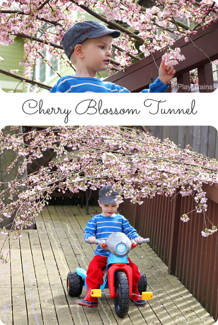 Cherry Blossom Tunnel: Outdoor Spring Activity for Kids from Play Trains! A fun combination of gross motor and sensory play.