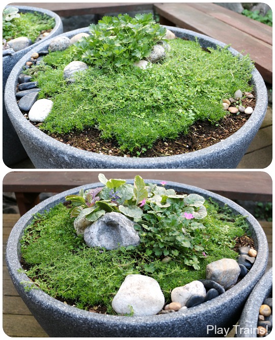 Super easy way to make a DIY outdoor wooden train "table"...no tools required to make this mini garden railway!